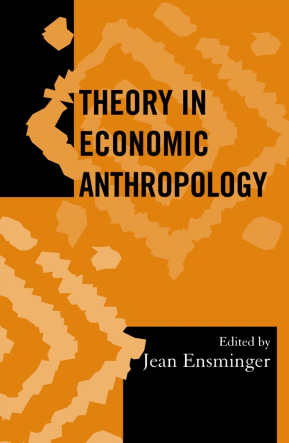 Theory in Economic Anthropology, Hardback Book
