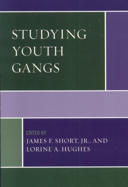 Studying Youth Gangs, Hardback Book