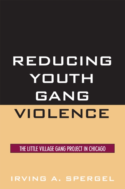Reducing Youth Gang Violence : The Little Village Gang Project in Chicago, Paperback / softback Book