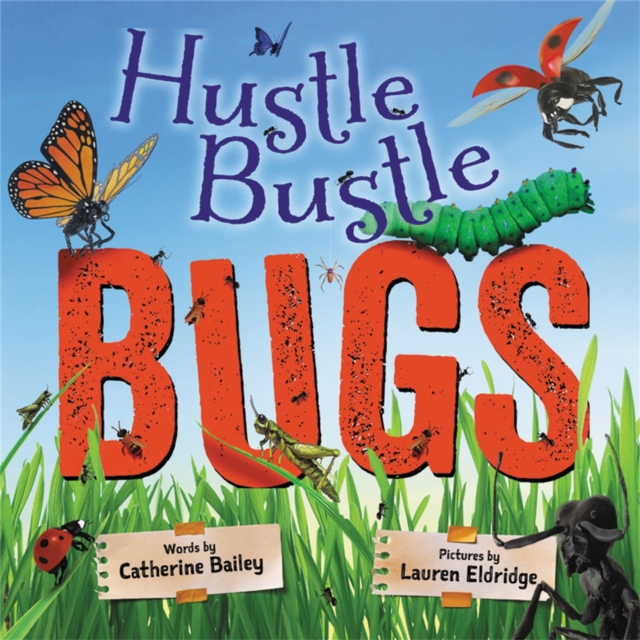 Hustle Bustle Bugs, Hardback Book