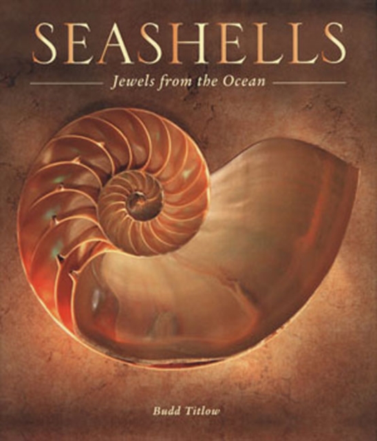 Seashells : Jewels from the Ocean, Hardback Book