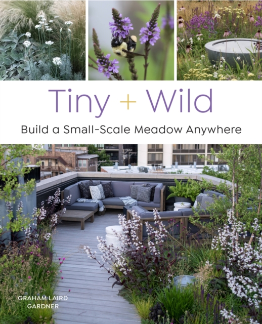 Tiny and Wild : Build a small-scale meadow anywhere, Paperback / softback Book