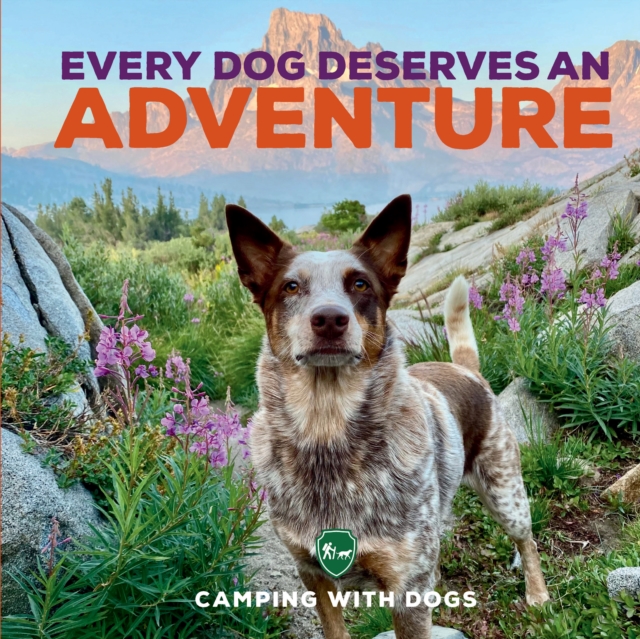 Every Dog Deserves an Adventure, Hardback Book