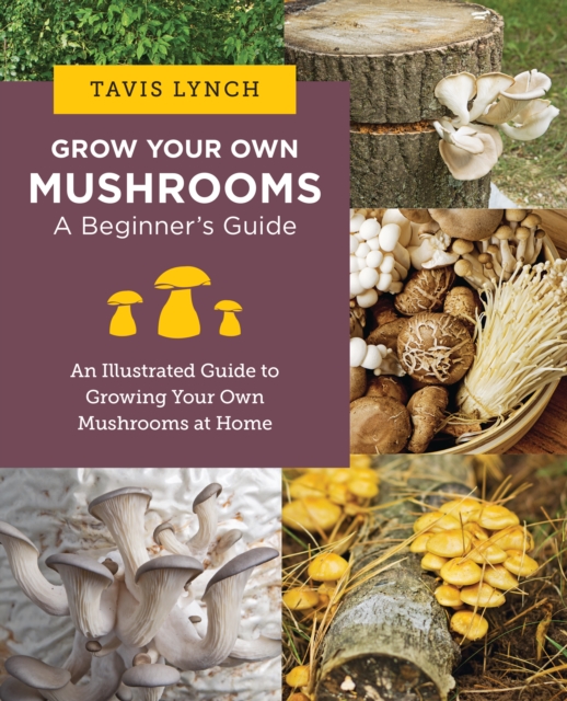 Grow Your Own Mushrooms: A Beginner's Guide : An Illustrated Guide to Cultivating Your Own Mushrooms at Home, EPUB eBook