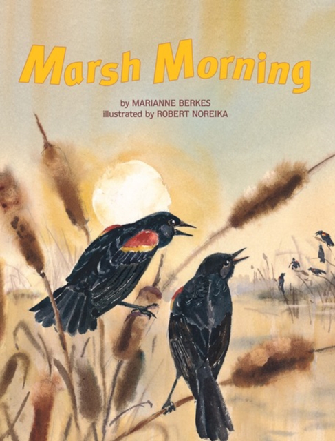 Marsh Morning, PDF eBook