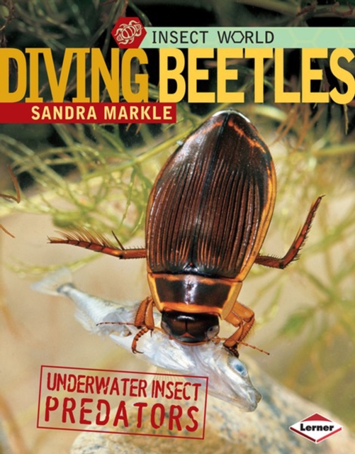 Diving Beetles, PDF eBook