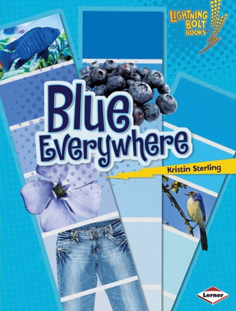 Blue Everywhere, PDF eBook