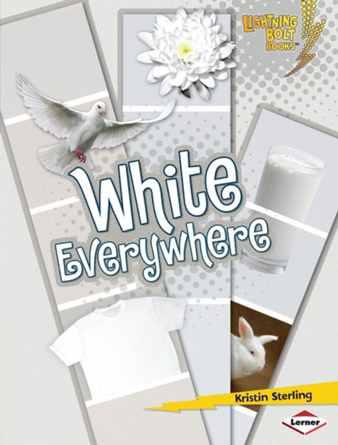 White Everywhere, PDF eBook
