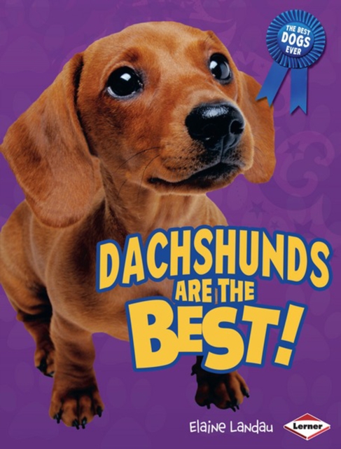 Dachshunds Are the Best!, PDF eBook