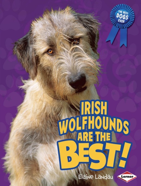 Irish Wolfhounds Are the Best!, PDF eBook