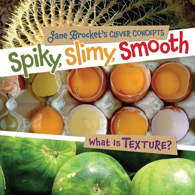 Spiky, Slimy, Smooth : What Is Texture?, PDF eBook