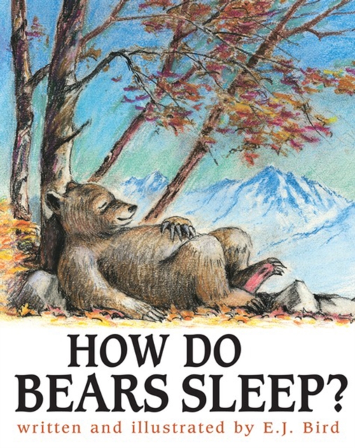 How Do Bears Sleep?, PDF eBook