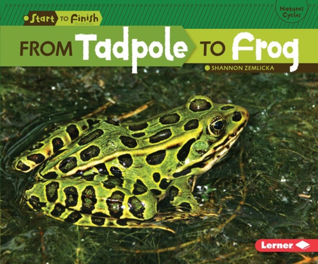 From Tadpole to Frog, PDF eBook