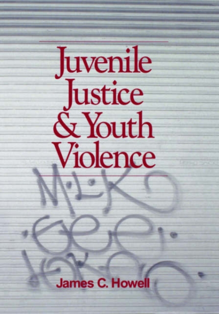 Juvenile Justice and Youth Violence, Hardback Book