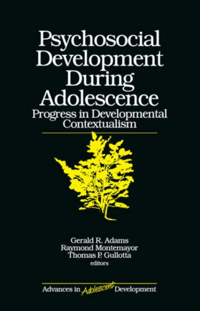 Psychosocial Development during Adolescence : Progress in Developmental Contexualism, Paperback / softback Book