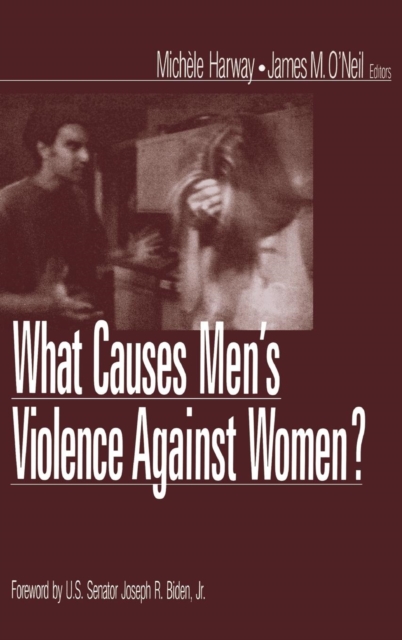 What Causes Men's Violence Against Women?, Hardback Book