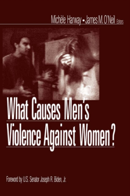 What Causes Men's Violence Against Women?, Paperback / softback Book