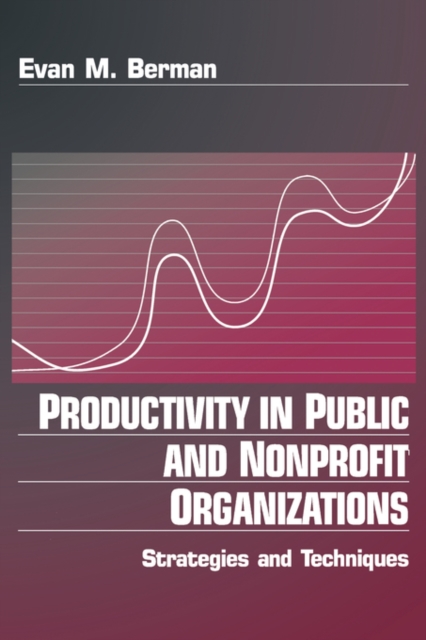 Productivity in Public and Non Profit Organizations : Strategies and Techniques, Paperback / softback Book