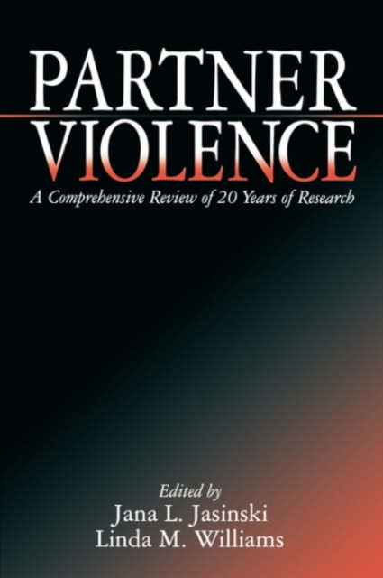 Partner Violence : A Comprehensive Review of 20 Years of Research, Paperback / softback Book