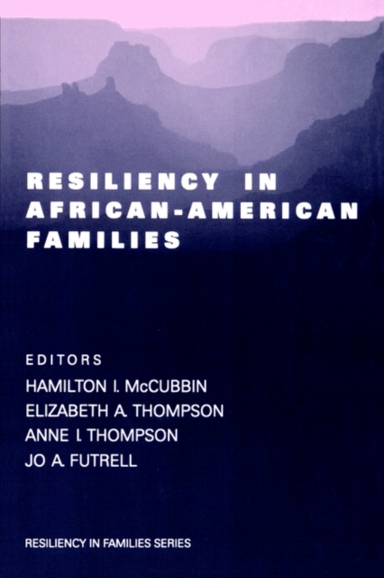 Resiliency in African-American Families, Paperback / softback Book