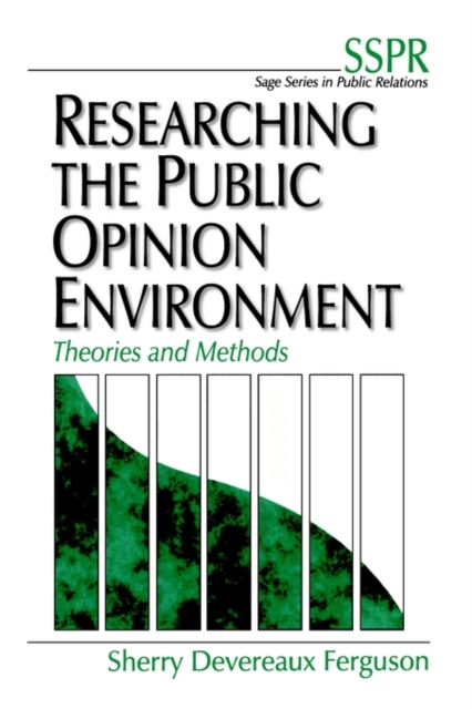 Researching the Public Opinion Environment : Theories and Methods, Paperback / softback Book