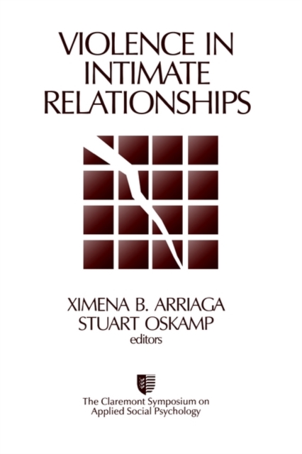 Violence in Intimate Relationships, Paperback / softback Book