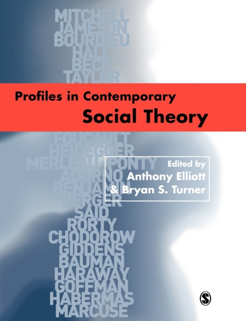 Profiles in Contemporary Social Theory, Paperback / softback Book