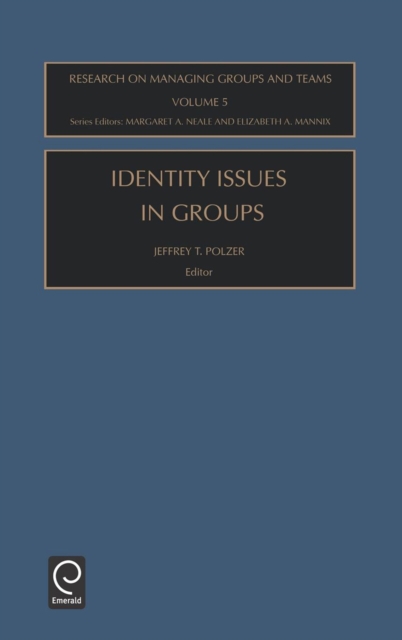 Identity Issues in Groups, Hardback Book
