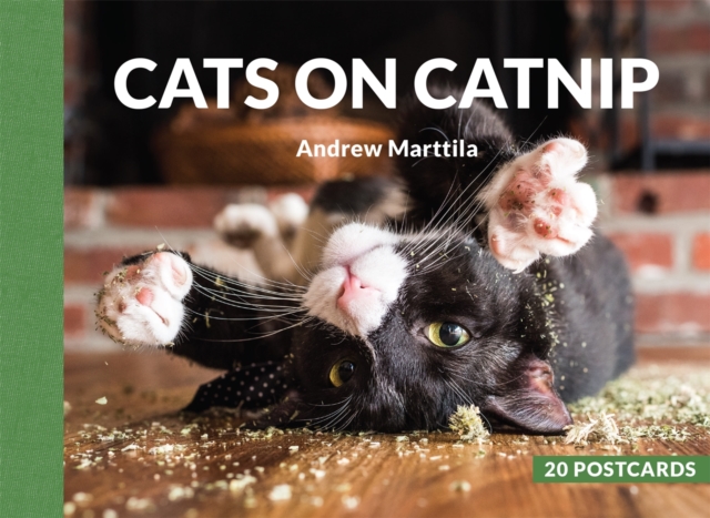 Cats on Catnip: 20 Postcards, Multiple-component retail product Book