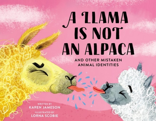 A Llama Is Not an Alpaca : And Other Mistaken Animal Identities, Hardback Book