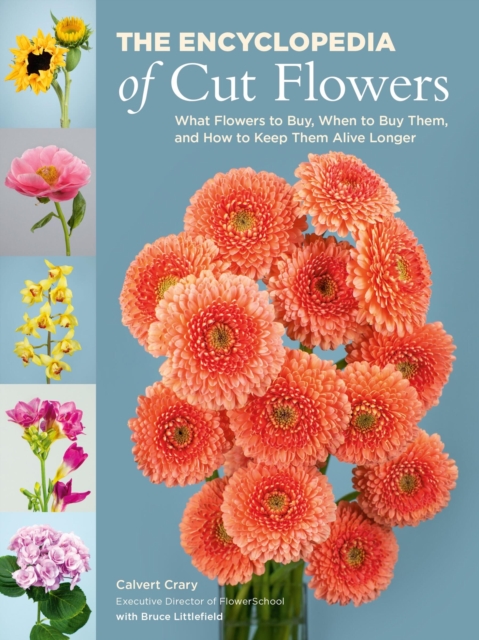 The Encyclopedia of Cut Flowers : What Flowers to Buy, When to Buy Them, and How to Keep Them Alive Longer, Paperback / softback Book