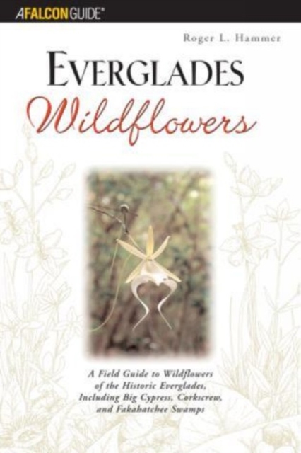 Everglades Wildflowers : A Field Guide To Wildflowers Of The Historic Everglades, Including Big Cypress, Corkscrew, And Fakahatchee Swamps, Paperback / softback Book