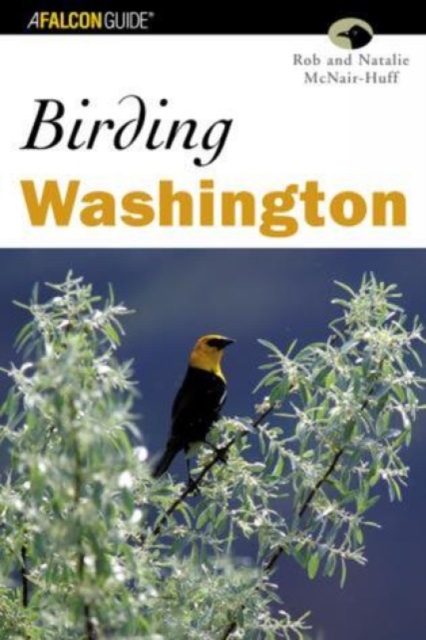 Birding Washington, Paperback / softback Book