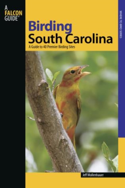 Birding South Carolina : A Guide To 40 Premier Birding Sites, Paperback / softback Book
