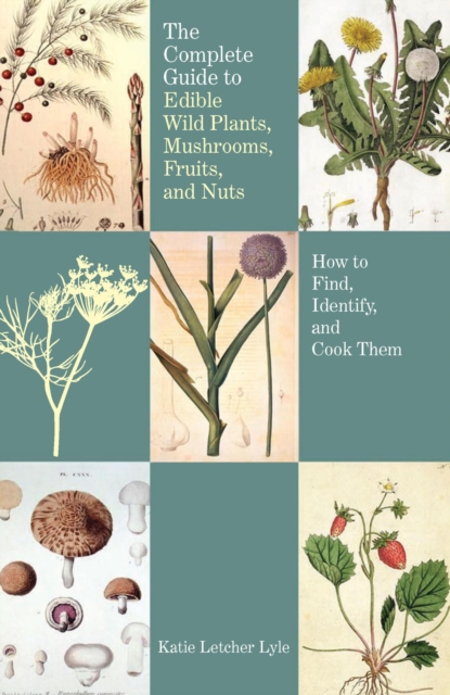 Complete Guide to Edible Wild Plants, Mushrooms, Fruits, and Nuts : How to Find, Identify, and Cook Them, EPUB eBook