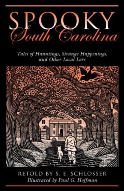 Spooky South Carolina : Tales Of Hauntings, Strange Happenings, And Other Local Lore, Paperback / softback Book