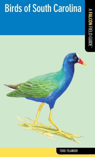 Birds of South Carolina, Paperback / softback Book