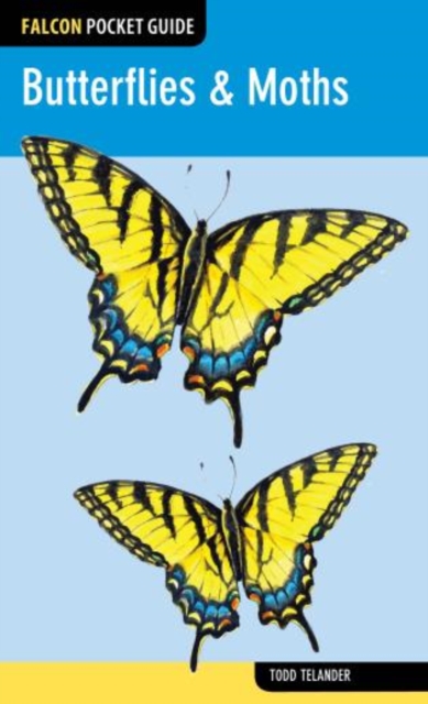 Butterflies & Moths, Paperback / softback Book