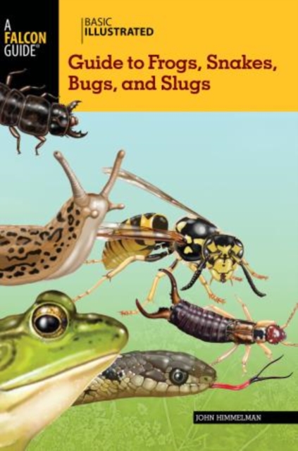 Basic Illustrated Guide to Frogs, Snakes, Bugs, and Slugs, Paperback / softback Book