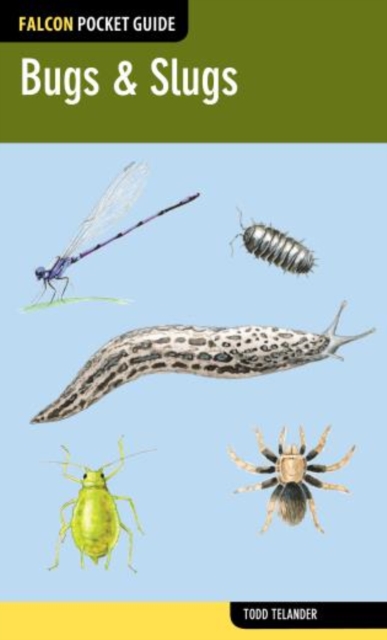 Bugs & Slugs, Paperback / softback Book