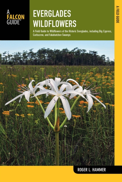 Everglades Wildflowers : A Field Guide to Wildflowers of the Historic Everglades, including Big Cypress, Corkscrew, and Fakahatchee Swamps, Paperback / softback Book