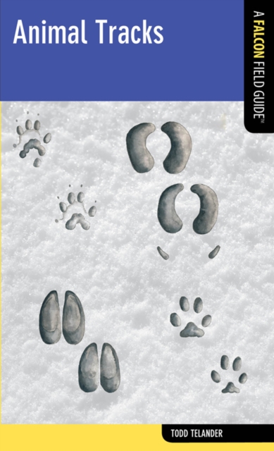 Animal Tracks : A Falcon Field Guide, EPUB eBook