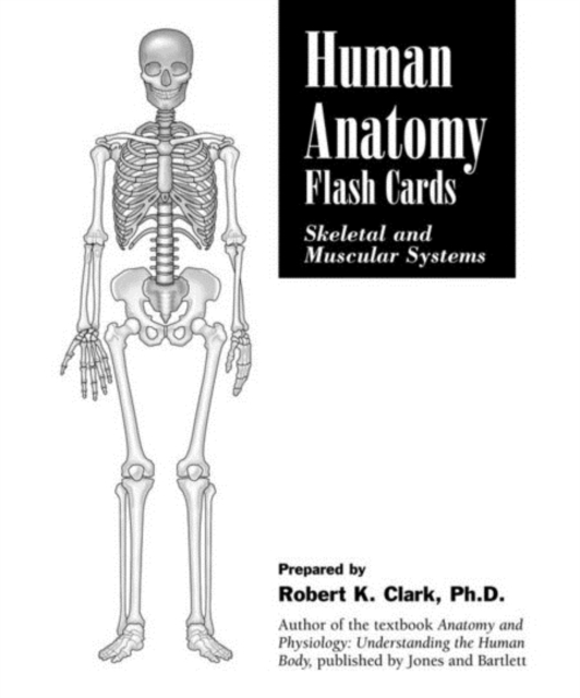 Human Anatomy Flash Cards: Skeletal And Muscular Systems, Cards Book