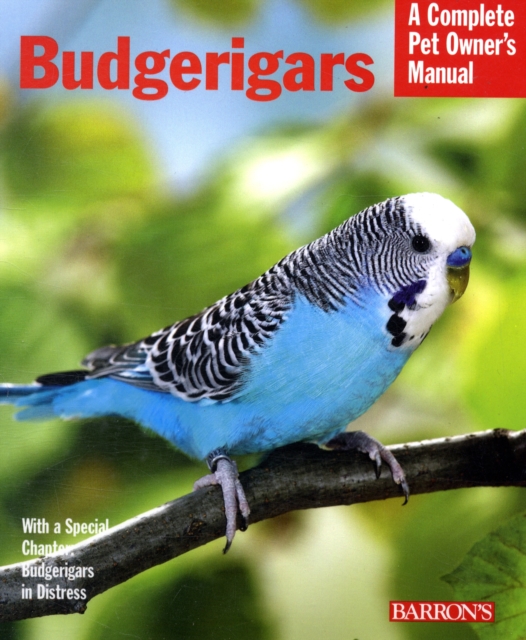 Budgerigars, Paperback / softback Book