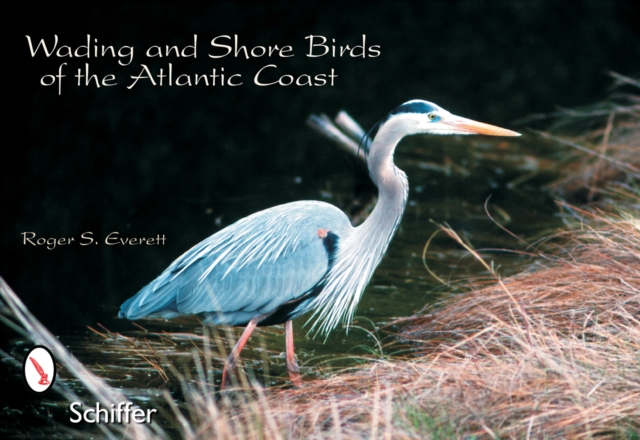 Wading and Shore Birds of the Atlantic Coast, Paperback / softback Book