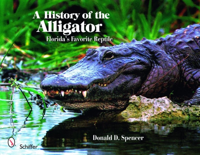 A History of the Alligator : Florida's Favorite Reptile, Paperback / softback Book