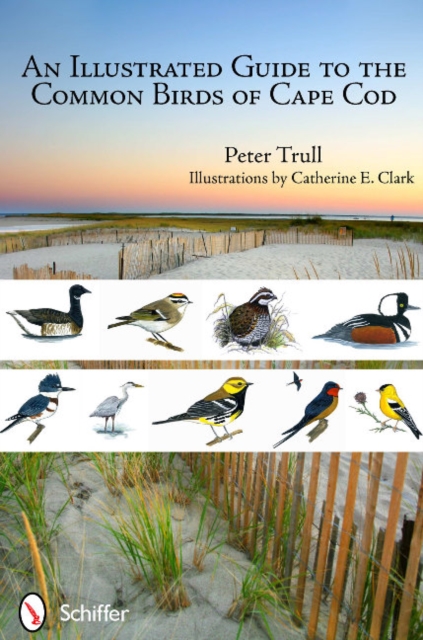 An Illustrated Guide to the Common Birds of Cape Cod, Paperback / softback Book