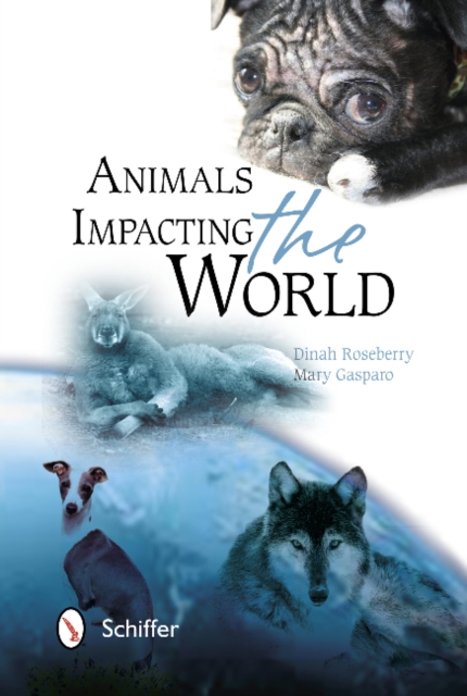 Animals Impacting the World, Paperback / softback Book