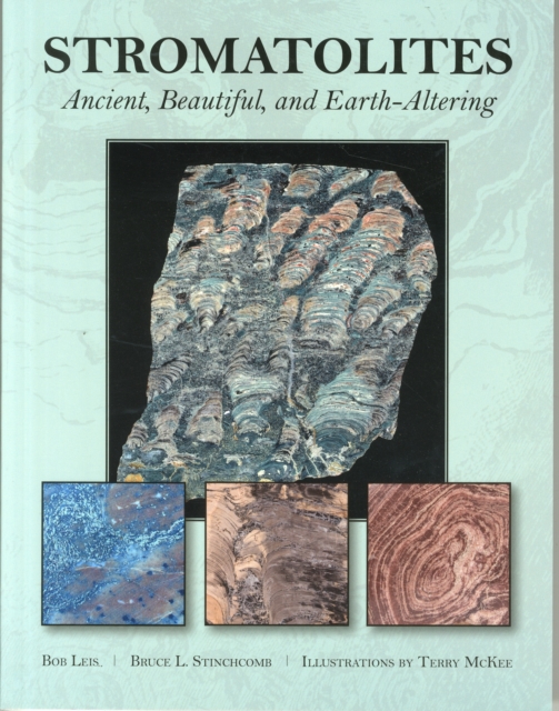 Stromatolites : Ancient, Beautiful, and Earth-Altering, Paperback / softback Book