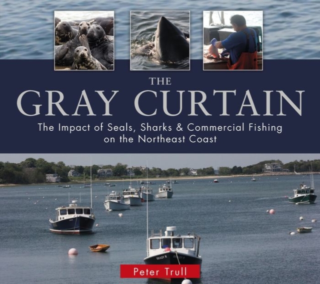 The Gray Curtain : The Impact of Seals, Sharks, and Commercial Fishing on the Northeast Coast, Paperback / softback Book